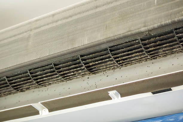 Best Home Air Vent Cleaning  in Weaverville, CA